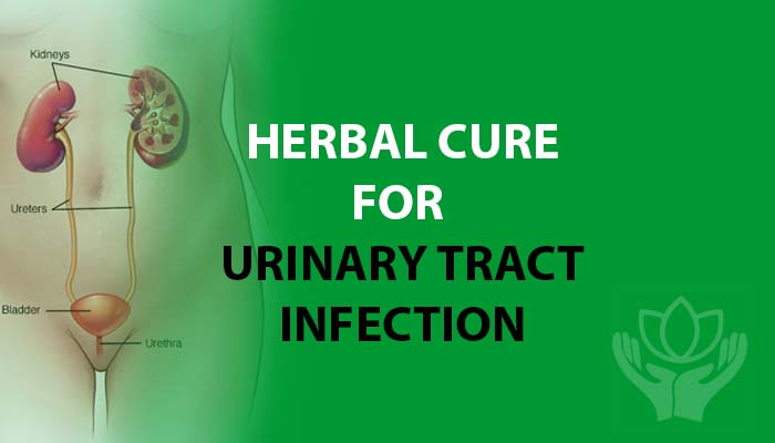 Herbal cure for Urinary Tract Infections