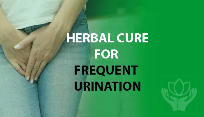Herbal medicine for frequent urination