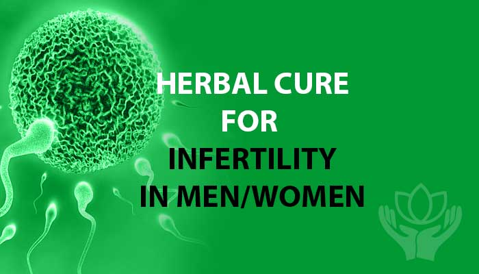 Herbal treatment for fertility
