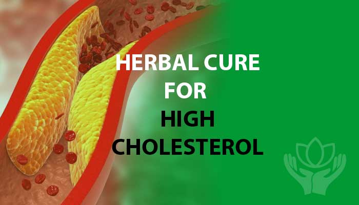 Herbal treatment for high cholesterol