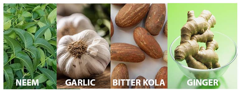 Herbs for the treatment of tuberculosis