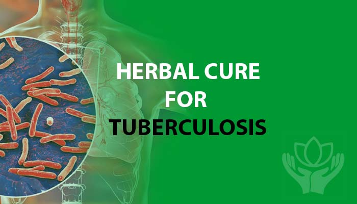 Non-Pharmacological Treatment for Tuberculosis