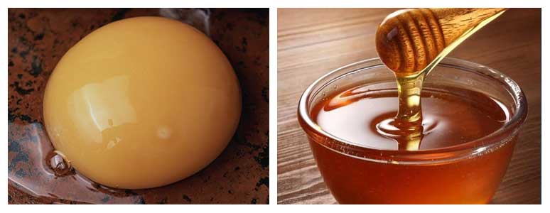 Herbal treatment for fertility