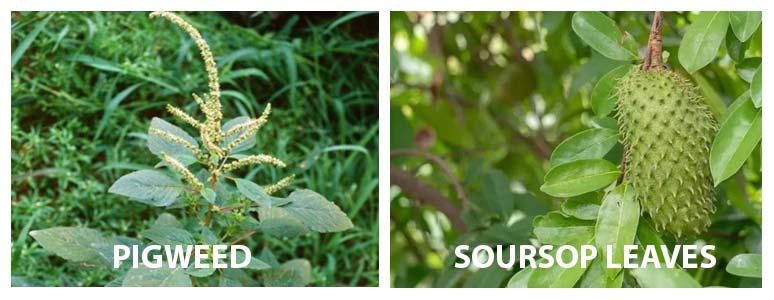 Natural cure for enlarged prostate