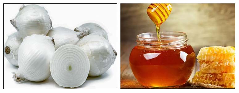 Herbal treatment for fertility