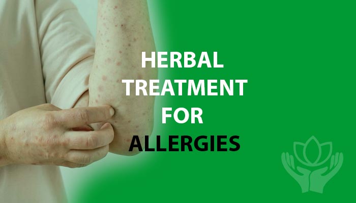 Herbal Treatment for Allergies