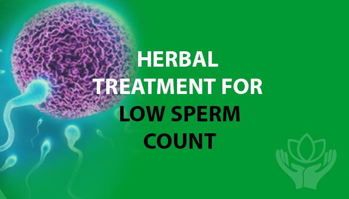 Herbal Treatment for Low Sperm Count