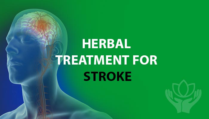 Herbal Treatment for Stroke