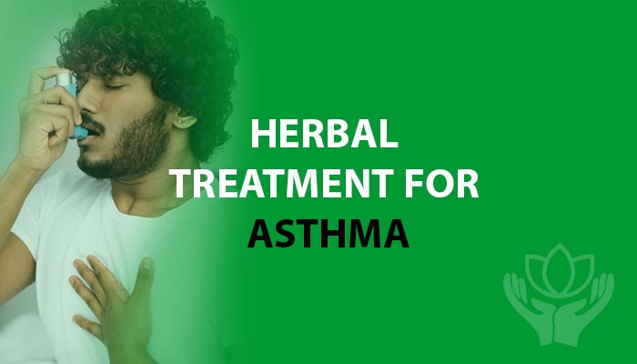 Herbs for Asthma Treatment