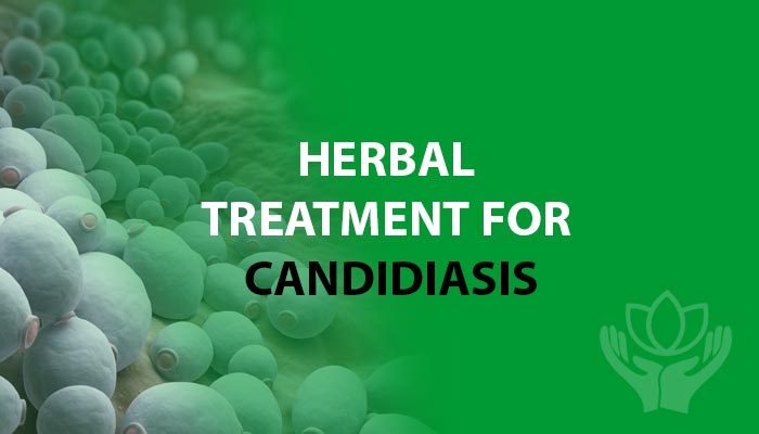 Herbs for the Treatment of Candidiasis