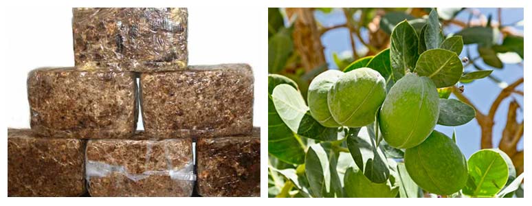 Herbal Medicine for Chicken Pox