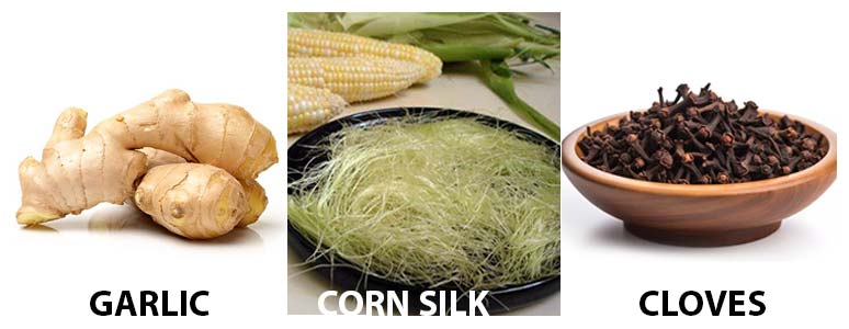 Herbal Treatment for Intestinal Worms