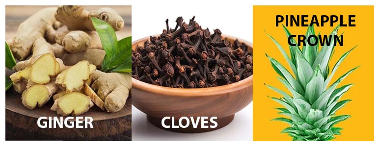 Herbal Medicine for Lower Back Pain
