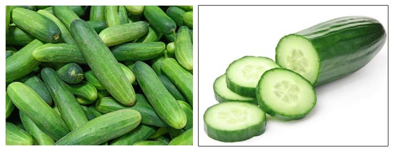Herbal Treatment for Heart Burn