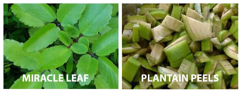 Herbal Treatment for Heart Burn