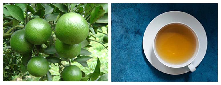 Herbal Treatment for Anxiety