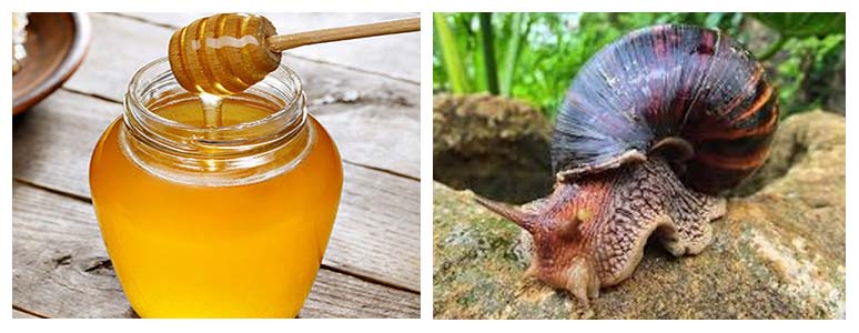 Herbs for Asthma Treatment