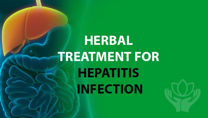 Herbal treatment for hepatitis